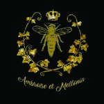 logo Ambroise et Mellonia